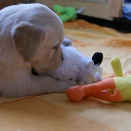 es gibt neue Bilder