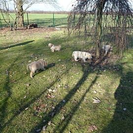 Heute haben wir das tolle Wetter ausgenutzt