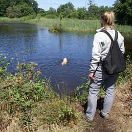Wasserseminar